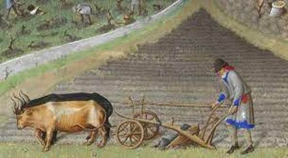 A person pulling a cart with a cow
Description automatically generated